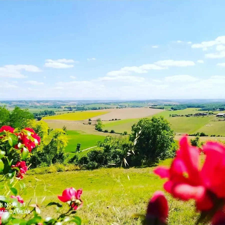 Villa Charmante A Gaujac Avec Piscine Privee Et Jardin France